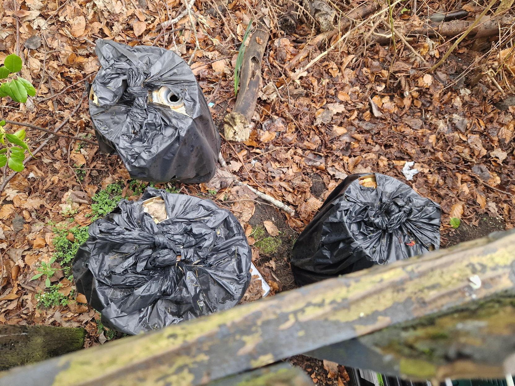 Community Payback participants improving green spaces