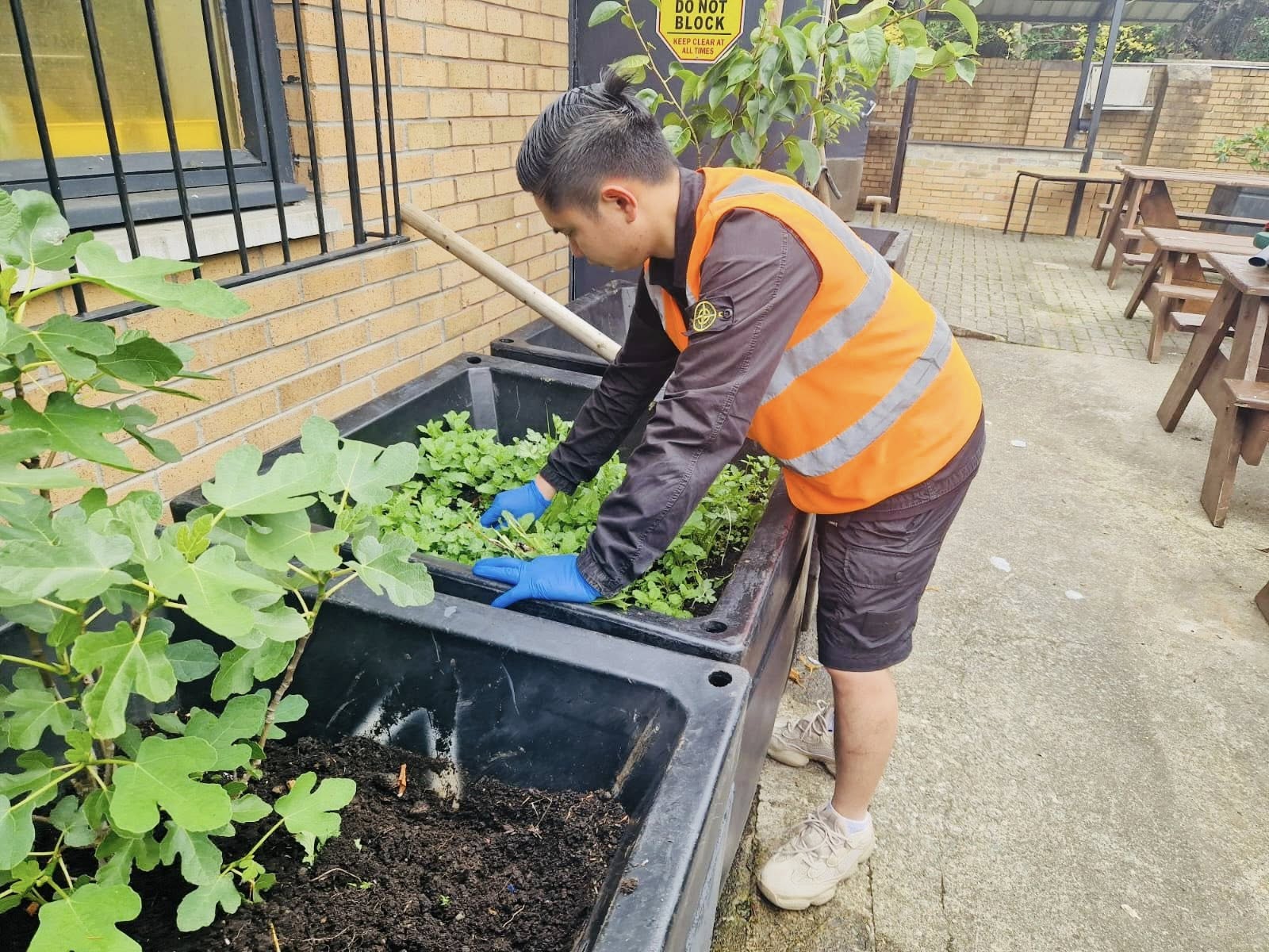 Net Zero Commitment Graphic